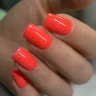 Гель-лак #B10 «Bruna»
